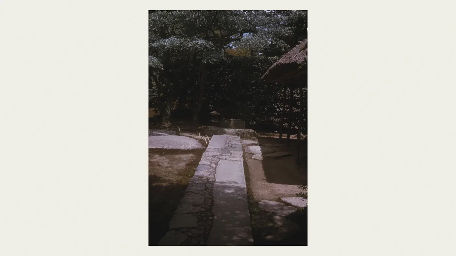 A path of stepping stones leading to a stone water basin