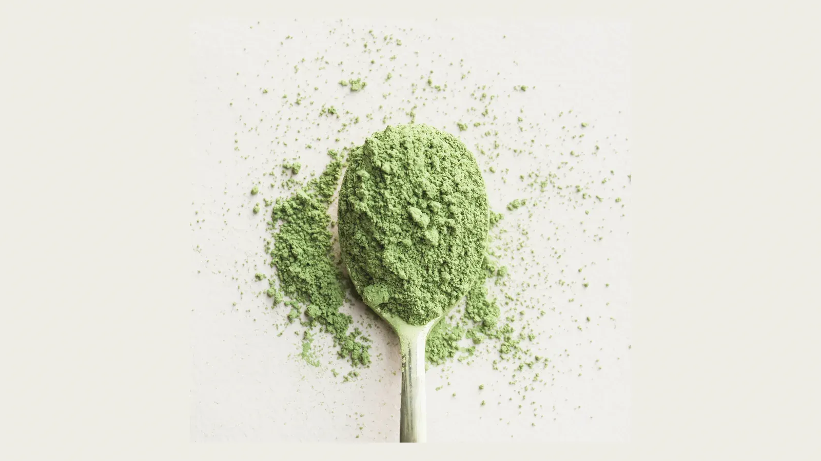 Vivid green matcha powder heaped on a spoon